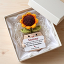 You Are My Sunshine - Custom Crochet Gift
